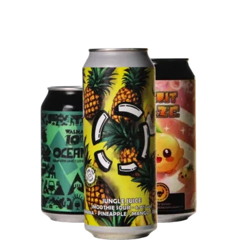 Selectie van zuurbier bieren uit ons assortiment