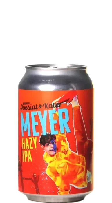 Poesiat & Kater Meyer Hazy IPA 33 IPA Bier kopen