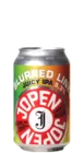 Jopen Blurred Lines 33 IPA Bier kopen