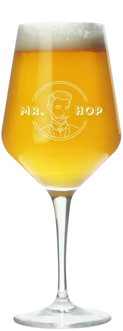 Mr. Hop Glas (groot) 55 Bier kopen