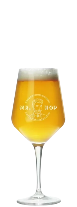 Mr. Hop Proefglas (klein) 19 Bier kopen