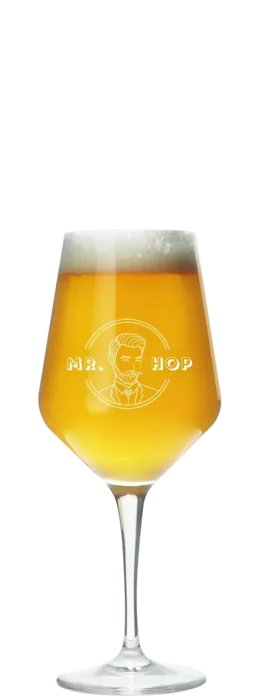 Mr. Hop Proefglas (klein) 19 Bier kopen