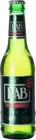 DAB Export 33 Pils Bier kopen