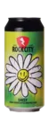 Rock City Daisy