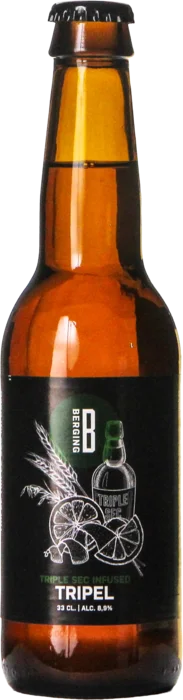 Berging TR26 Triple Sec Infused Tripel 33 Tripel Bier kopen