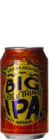 Sierra Nevada Big Little Thing 35,5 IPA Bier kopen