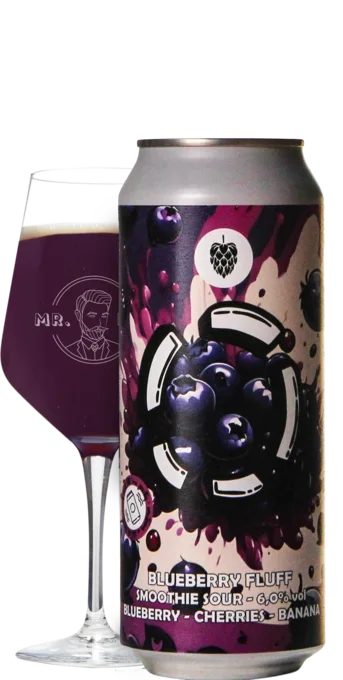 LOST / Folkingebrew Blueberry Fluff 50 Smoothie Bier Bier kopen