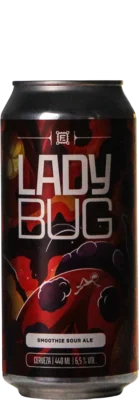Cervejaria Fermi Ladybug (Morning Glory Series) 47,3 Smoothie Bier Bier kopen