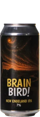 De Kwint Brainbird 44 IPA Bier kopen