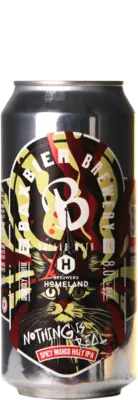 Baxbier / Homeland Nothing Is Real