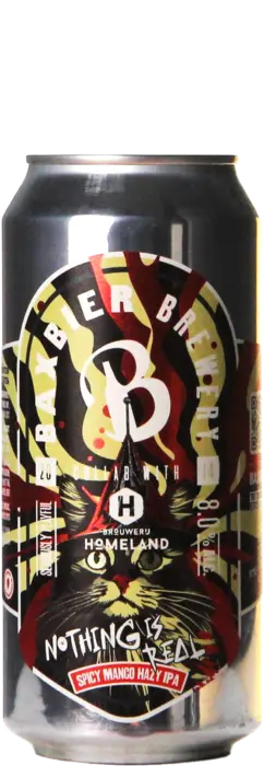 Baxbier / Homeland Nothing Is Real